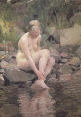 Anders Zorn Dagmar (nn03) Norge oil painting art